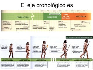 El eje cronológico es
fundamental:
 