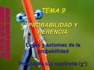 TEMA 9 PROBABILIDAD Y HERENCIA Leyes y axiomas de la probabilidad Prueba de chi cuadrada  (  2 ) M.C. JOSE LUIS CASTILLO DOMINGUEZ UNIVERSIDAD AUTONOMA CHAPINGO 