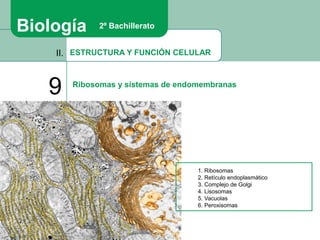ESTRUCTURA Y FUNCIÓN CELULAR
II.
9 Ribosomas y sistemas de endomembranas
Biología 2º Bachillerato
1. Ribosomas
2. Retículo endoplasmático
3. Complejo de Golgi
4. Lisosomas
5. Vacuolas
6. Peroxisomas
 