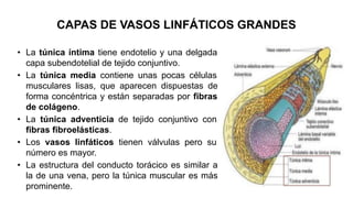 Tema 9_Sistema cardiovascular.pdf