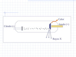 Calor
Cátodo (-)
Anodo (+)
Rayos X
 