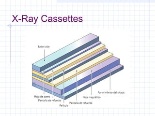 X-Ray Cassettes
 