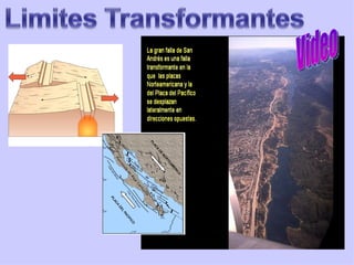 Tema 9 tect de placas