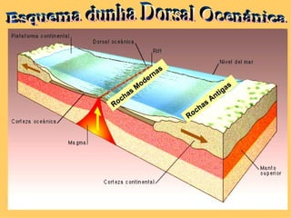 s
               rna
          o de
        M                                s
      s                              i ga
    ha                            nt
R oc                        s
                                A
                          ha
                      R oc
 