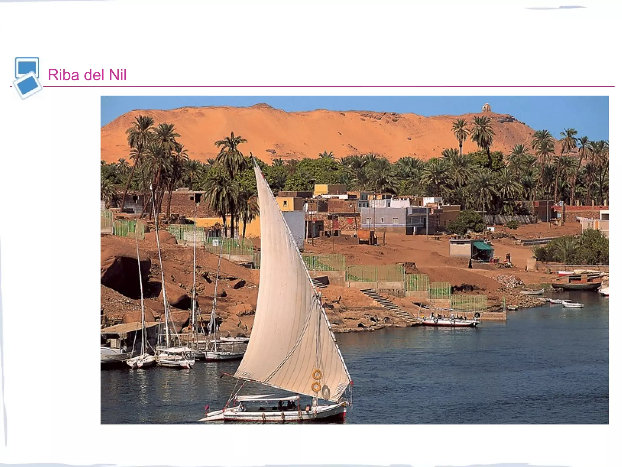 Riba del Nil
 
