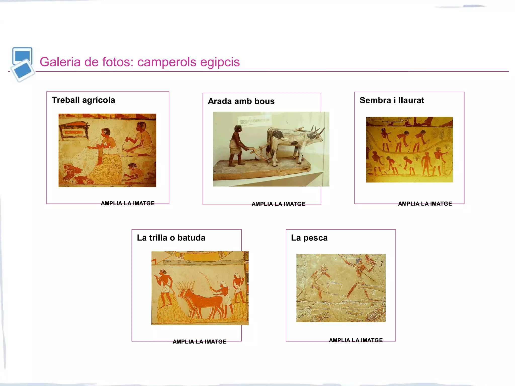 Galeria de fotos: camperols egipcis
Arada amb bous Sembra i llauratTreball agrícola
La pescaLa trilla o batuda
AMPLIA LA IMATGEAMPLIA LA IMATGEAMPLIA LA IMATGEAMPLIA LA IMATGE AMPLIA LA IMATGEAMPLIA LA IMATGE
AMPLIA LA IMATGEAMPLIA LA IMATGE AMPLIA LA IMATGEAMPLIA LA IMATGE
 