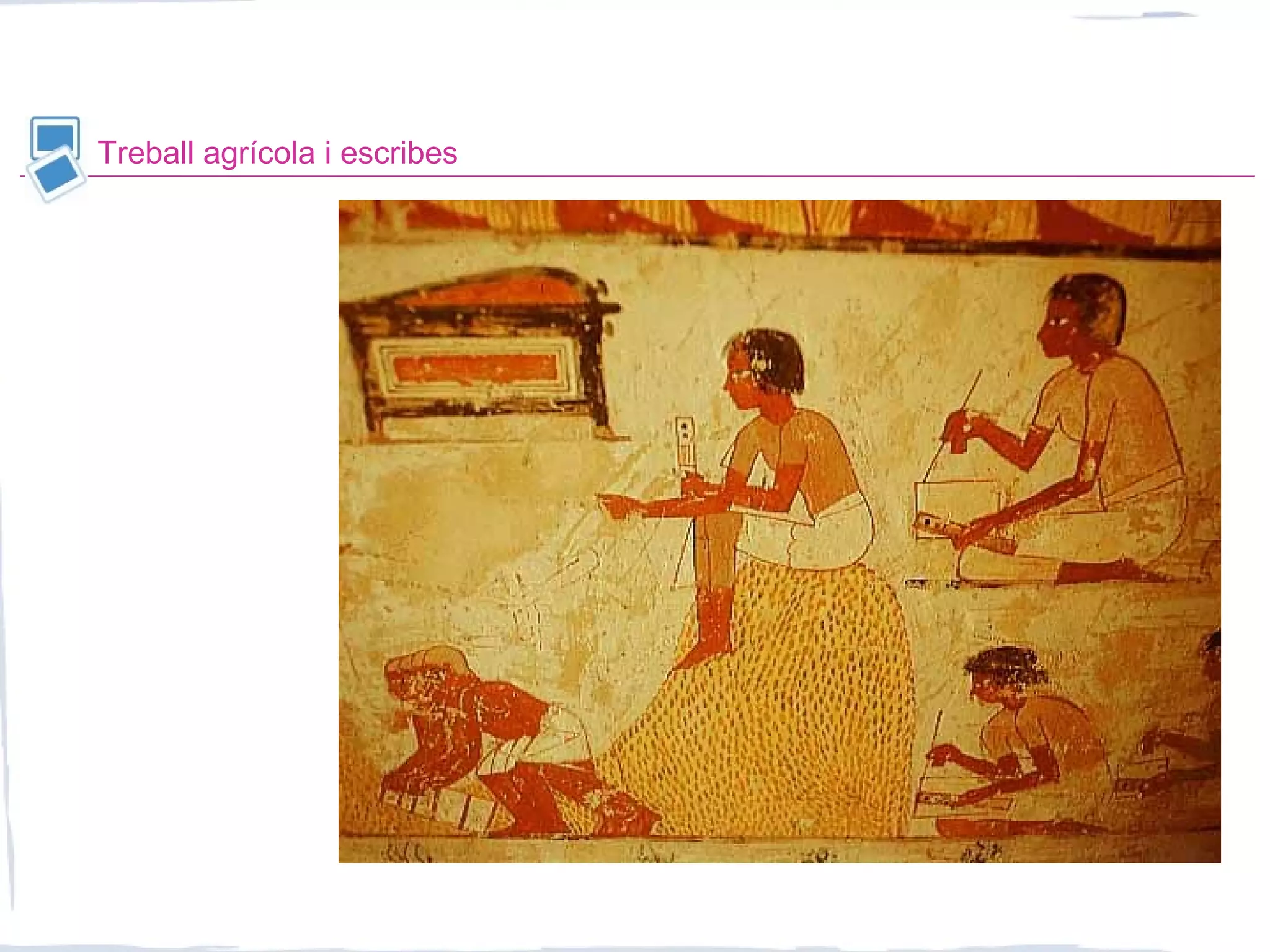 Treball agrícola i escribes
 