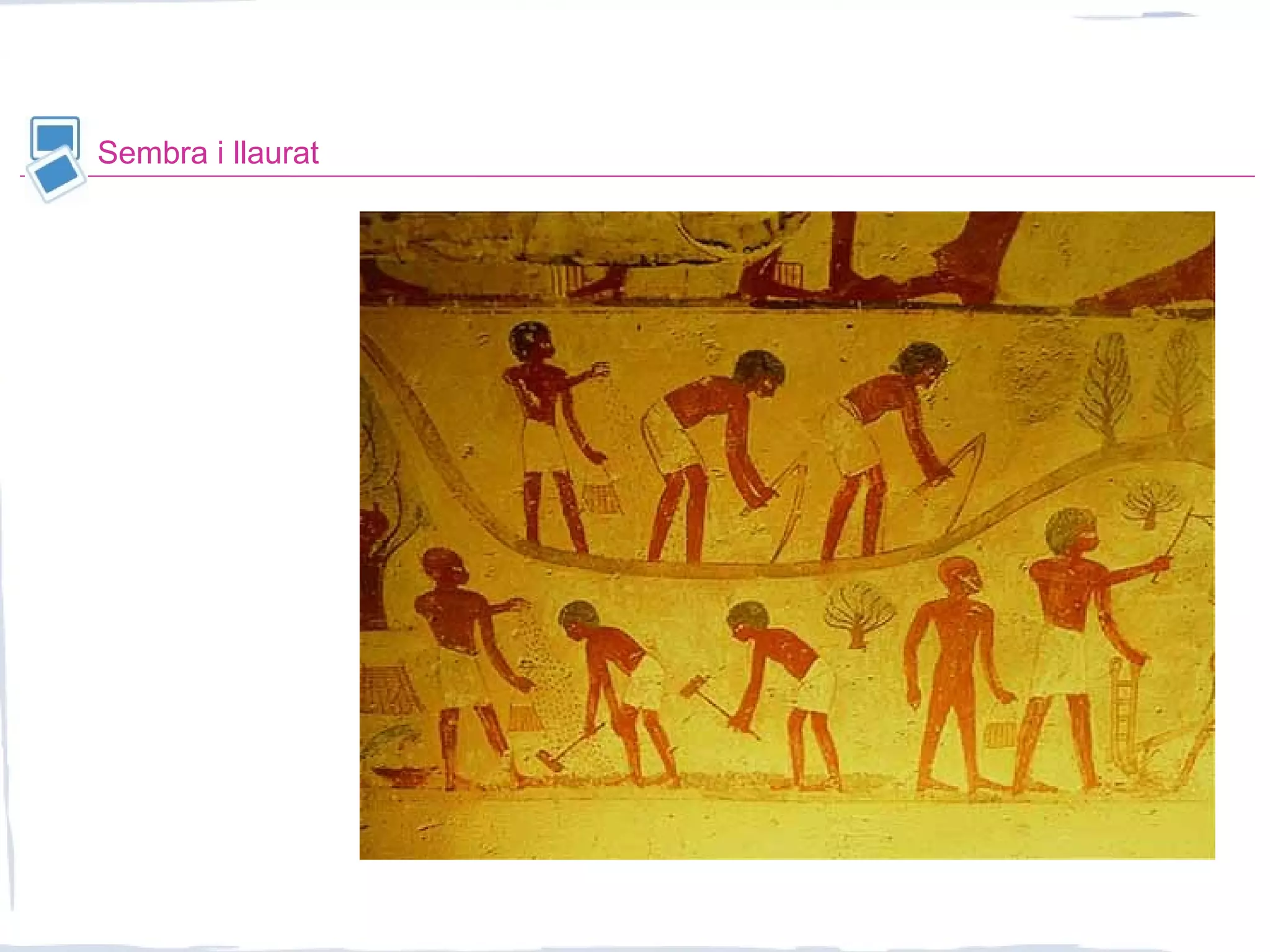 Sembra i llaurat
 
