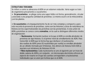 ESTRUCTURA TERCIARIA 
Se refiere a como se almacena el ADN en un volumen reducido. Varía según se trate 
de organismos procariontes o eucariontes: 
 En procariontes: se pliega como una super-hélice en forma, generalmente, circular 
y asociada a una pequeña cantidad de proteÍnas. Lo mismo ocurre en la mitocondrias 
y en los plastos. 
 En eucariontes: el empaquetamiento ha de ser más complejo y compacto y para 
esto necesita la presencia de proteÍnas, como son las histonas y otras de naturaleza no 
histona (en los espermatozoides las proteÍnas son las protaminas). A esta unión de 
ADN y proteÍnas se conoce como cromatina, en la cual se distinguen diferentes niveles 
de organización: 
• Nucleosoma: formación nuclear en la que el ADN se enrolla alrededor de 
proteínas de tipo histona. Es el primer nivel de enrollamiento de ADN. Para 
transcribir el ADN que lo forma hay que deshacer el nucleosoma. 
dos vueltas de ADN (unos 83 nucleótidos por vuelta) se enrollan alrededor 
de un cilindro formado por 8 histonas. Dos dímero de histona H2A-H2B se 
asocian a un tetrámero de histonas H3-H4. 
• Fibra nucleosómica: Cada nucleosoma se une al siguiente por un trozo de 
doble cadena de ADN y en conjunto , en microscopía electrónica ofrecen un 
aspecto de rosario en el que las cuentas corresponden a nucleosomas 
individuales que se unen por la línea que es el ADN. 
 