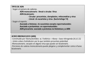 TIPOS DE ADN 
- Según el número de cadenas. 
ADN monocatenario : lineal o circular. Virus 
ADN bicatenario: 
- Circular: procariotas, cloroplastos, mitocondrias y virus 
- Lineal: cls eucariotas y virus. (bacteriofago T4) 
- Según el soporte. 
Asociado a histonas: cls eucariotas excepto espermatozoides 
Asociado a protaminas: en espermatozoides 
ADN procariota: asociado a proteínas no histónicas y a ARN 
ACIDO RIBONUCLEICO (ARN) 
-Constituido por ribonucleótidos: ac. Fosfórico + ribosa + base nitrogenda (A,U,C,G) 
- Unión enlace fosfodiester por lo que también presentan polaridad. 
-Monocatenario, excepto en alguno virus que puede ser bicatenario. 
-Porciones de cadena monocatenaria puede plegarse y complementar como si fuese 
bicatenario. 
 