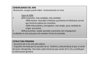 GENERALIDADES DEL ADN 
-Bicatenario, aunque puede haber monocatenario en virus. 
Tipos de ADN: 
 ADN eucariotas: más complejo, más cantidad. 
•ADN nuclear: Asociado a histonas y proteínas no histónicas con las 
que forma la cadena de cromatina. 
•ADN mitocondrial y cloroplastos: más simple, poca cantidad de 
origen procariota. 
 ADN procariotas: simple asociado a proteínas (sin empaquetar). 
Localizado en una zona pero sin envolver forma el nucleoide. 
ESTRUCTURA PRIMARIA 
- Secuencia de nt de una sola cadena. 
- Esqueleto formado por la sucesión de ac. Fosfórico y desoxirribosa al que se ancla 
las bases nitrogendas. Son estas cuatro letras las que varían (A,T,C,G) y constituyen 
la información genética. 
 