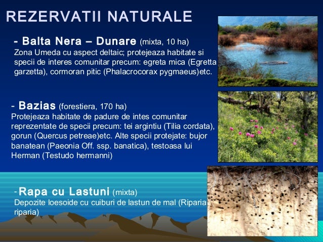 Tema Ariile Naturale Protejate Din Mrdnc Fara S