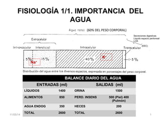 FISIOLOGÍA 1/1. IMPORTANCIA DEL
AGUA
11/05/14 1
K+
Na+
(60% DEL PESO CORPORAL)
BALANCE DIARIO DEL AGUA
ENTRADAS (ml) SALIDAS (ml)
LÍQUIDOS 1400 ORINA 1500
ALIMENTOS 850 PERD. INSENS 500 (Piel) 400
(Pulmón)
AGUA ENDOG 350 HECES 200
TOTAL 2600 TOTAL 2600
Secreciones digestivas
Liquido espacio peritoneal
LCR
(EEC)
 