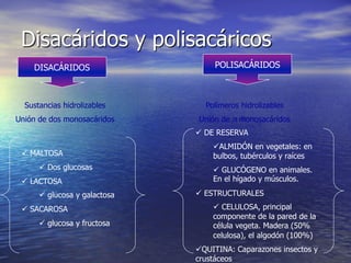 Disacáridos y polisacáricos
    DISACÁRIDOS                      POLISACÁRIDOS



  Sustancias hidrolizables        Polímeros hidrolizables
Unión de dos monosacáridos      Unión de n monosacáridos
                                ü  DE RESERVA
                                    ü ALMIDÓN en vegetales: en
 ü  MALTOSA                        bulbos, tubérculos y raíces
      ü  Dos glucosas              ü  GLUCÓGENO en animales.
 ü  LACTOSA                        En el hígado y músculos.

      ü  glucosa y galactosa   ü  ESTRUCTURALES

 ü  SACAROSA                       ü  CELULOSA, principal
                                    componente de la pared de la
      ü  glucosa y fructosa        célula vegeta. Madera (50%
                                    celulosa), el algodón (100%)
                                ü QUITINA: Caparazones insectos y
                                crustáceos
 