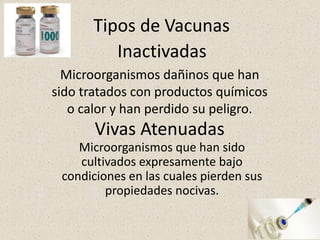 Tipos de Vacunas
         Inactivadas
  Microorganismos dañinos que han
sido tratados con productos químicos
   o calor y han perdido su peligro.
       Vivas Atenuadas
    Microorganismos que han sido
    cultivados expresamente bajo
 condiciones en las cuales pierden sus
         propiedades nocivas.
 