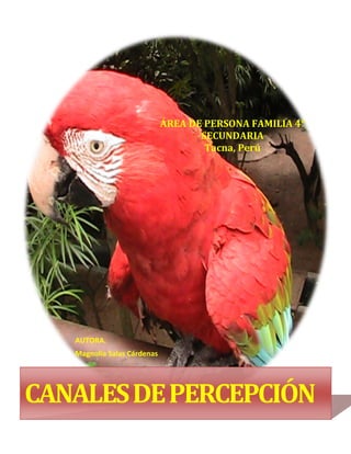 Sistema de representación visual:
CANALESDEPERCEPCIÓN
ÁREA DE PERSONA FAMILIA 4°
SECUNDARIA
Tacna, Perú
AUTORA.
Magnolia Salas Cárdenas
 