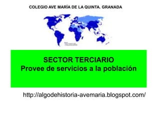 SECTOR TERCIARIO
Provee de servicios a la población
http://algodehistoria-avemaria.blogspot.com/
COLEGIO AVE MARÍA DE LA QUINTA. GRANADA
 