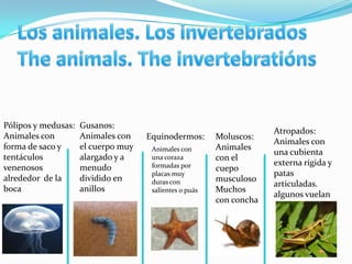 Pólipos y medusas:   Gusanos:
                                                                      Atropados:
Animales con         Animales con    Equinodermos:       Moluscos:
                                                                      Animales con
forma de saco y      el cuerpo muy    Animales con       Animales
                                                                      una cubienta
tentáculos           alargado y a     una coraza         con el
                                      formadas por                    externa rígida y
venenosos            menudo                              cuepo
                                      placas muy                      patas
alrededor de la      dividido en      duras con          musculoso
                                                                      articuladas.
boca                 anillos          salientes o puás   Muchos
                                                                      algunos vuelan
                                                         con concha
 