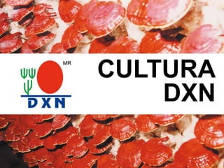 CULTURA
DXN
 