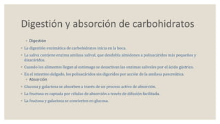 Digestión y absorción de carbohidratos 
◦ Digestión 
◦ La digestión enzimática de carbohidratos inicia en la boca. 
◦ La saliva contiene enzima amilasa salival, que desdobla almidones a polisacáridos más pequeños y 
disacáridos. 
◦ Cuando los alimentos llegan al estómago se desactivan las enzimas salivales por el ácido gástrico. 
◦ En el intestino delgado, los polisacáridos sin digeridos por acción de la amilasa pancreática. 
◦ Absorción 
◦ Glucosa y galactosa se absorben a través de un proceso activo de absorción. 
◦ La fructosa es captada por células de absorción a través de difusión facilitada. 
◦ La fructosa y galactosa se convierten en glucosa. 
 