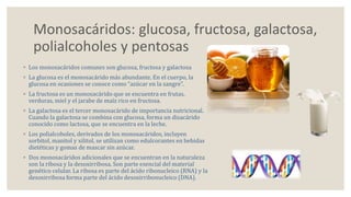 Monosacáridos: glucosa, fructosa, galactosa, 
polialcoholes y pentosas 
◦ Los monosacáridos comunes son glucosa, fructosa y galactosa 
◦ La glucosa es el monosacárido más abundante. En el cuerpo, la 
glucosa en ocasiones se conoce como “azúcar en la sangre”. 
◦ La fructosa es un monosacárido que se encuentra en frutas, 
verduras, miel y el jarabe de maíz rico en fructosa. 
◦ La galactosa es el tercer monosacárido de importancia nutricional. 
Cuando la galactosa se combina con glucosa, forma un disacárido 
conocido como lactosa, que se encuentra en la leche. 
◦ Los polialcoholes, derivados de los monosacáridos, incluyen 
sorbitol, manitol y xilitol, se utilizan como edulcorantes en bebidas 
dietéticas y gomas de mascar sin azúcar. 
◦ Dos monosacáridos adicionales que se encuentran en la naturaleza 
son la ribosa y la desoxirribosa. Son parte esencial del material 
genético celular. La ribosa es parte del ácido ribonucleico (RNA) y la 
desoxirribosa forma parte del ácido desoxirribonucleico (DNA). 
 