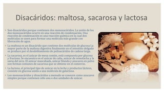 Disacáridos: maltosa, sacarosa y lactosa 
◦ Son disacáridos porque contienen dos monosacáridos. La unión de los 
dos monosacáridos ocurre en una reacción de condensación. Una 
reacción de condensación es una reacción química en la cual dos 
moléculas se unen para formar una molécula más grande con 
liberación de agua. 
◦ La maltosa es un disacárido que contiene dos moléculas de glucosa La 
mayor parte de la maltosa digestiva finalmente en el intestino delgado 
se produce por el desdoblamiento de polisacáridos de cadena larga. 
◦ La sacarosa, es el azúcar de mesa común, está compuesta por glucosa 
y fructosa. Se encuentra en el azúcar de caña, azúcar de remolacha y la 
savia del arce. El azúcar mascabada, azúcar blanda y azucares en polvo 
son formas comunes de sacarosa que se obtiene en el comercio. 
◦ La lactosa, el principal tipo de azúcar en la leche y productos lácteos, 
consiste en glucosa unida a una molécula de galactosa. 
◦ Los monosacáridos y disacáridos a menudo se conocen como azucares 
simples porque contienen sólo una o dos unidades de azúcar. 
 