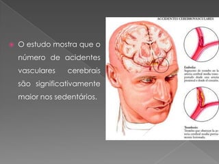 O exercício físico traz benefícios em qualquer idade e melhora muito a qualidade de vida. Todos desejam viver muito, mas com saúde, bem estar, um bom condicionamento físico e se possível no seu peso ideal. 
