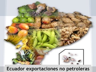 Ecuador exportaciones no petroleras
 