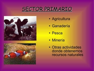 SECTOR PRIMARIO Agricultura Ganadería Pesca Minería Otras actividades donde obtenemos recursos naturales 
