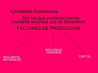 Actividades Económicas Son las que producen bienes mediante recursos que se denominan FACTORES DE PRODUCCION RECURSOS NATURALES RECURSOS HUMANOS CAPITAL 