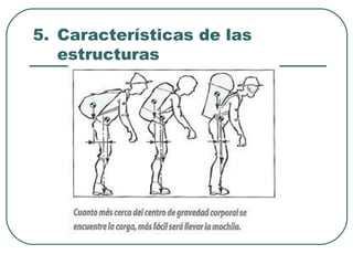 5. Características de las
   estructuras
 