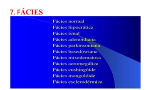 7. FÁCIES
 
