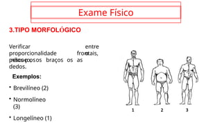 Exame Físico
3.TIPO MORFOLÓGICO
entre
o
Verificar
proporcionalidade
pescoço, os braços os
frontais,
as
mãos e os
dedos.
Exemplos:
• Brevilíneo (2)
• Normolíneo
(3)
• Longelíneo (1)
1 2 3
 