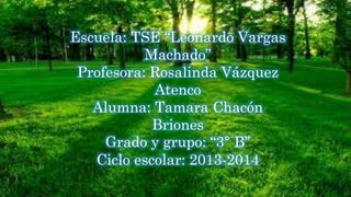 Escuela: TSE “Leonardo Vargas
Machado”
Profesora: Rosalinda Vázquez
Atenco
Alumna: Tamara Chacón
Briones
Grado y grupo: “3° B”
Ciclo escolar: 2013-2014

 