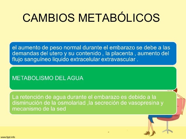 Cambios Fisiológicos En El Embarazo