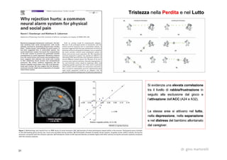 31 dr. gino martorelli
TristezzaTristezza nellanella PerditaPerdita e nele nel LuttoLutto
Si evidenzia unaSi evidenzia una elevata correlazioneelevata correlazione
tra il livello ditra il livello di rabbia/frustrazionerabbia/frustrazione inin
seguito alla esclusione dal gioco eseguito alla esclusione dal gioco e
l’l’attivazioneattivazione dell’dell’ACCACC (A24 e A32).(A24 e A32).
Le stesse aree si attivano nelLe stesse aree si attivano nel luttolutto,,
nellanella depressionedepressione, nella, nella separazioneseparazione
e nele nel distressdistress del bambino allontanatodel bambino allontanato
daldal caregivercaregiver..
http://neurocritic.blogspot.com/2009/01/voodoo-correlations-in-social.html
http://www.scn.ucla.edu/pdf/Lieberman-Voodoo-PsychSci.pdf
http://prefrontal.org/files/posters/Bennett-Reliability-2010.pdf
 