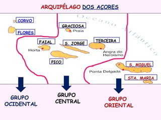 ARQUIPÉLAGO DOS AÇORES
CORVO

GRACIOSA

FLORES
FAIAL

S. JORGE

PICO

TERCEIRA

S. MIGUEL
STA. MARIA

GRUPO
OCIDENTAL

GRUPO
CENTRAL

GRUPO
ORIENTAL

 