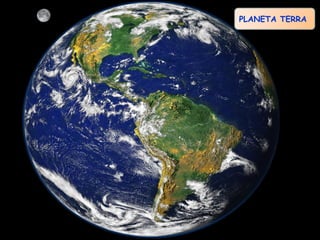 PLANETA TERRA

 