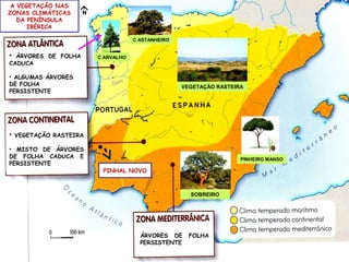 A VEGETAÇÃO NAS
ZONAS CLIMÁTICAS
DA PENÍNSULA
IBÉRICA
C ASTANHEIRO

• ÁRVORES DE FOLHA
CADUCA

C ARVALHO

• ALGUMAS ÁRVORES
DE FOLHA
PERSISTENTE

VEGETAÇÃO RASTEIRA

• VEGETAÇÃO RASTEIRA
• MISTO DE ÁRVORES
DE FOLHA CADUCA E
PERSISTENTE

PINHEIRO MANSO

PINHAL NOVO

SOBREIRO

ÁRVORES DE
PERSISTENTE

FOLHA

 