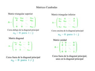 Matriz Diagonal Inferior Tema I. Matrices | PPT