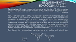 REQUERIMIENTOS
EDAFOCLIMÁTICOS
• Temperatura: El clavel tolera temperaturas de hasta -4ºC. Sin embargo,
cuando las temperaturas son inferiores a 8ºC, la formación de yemas florales
se paraliza.
Temperaturas inferiores a 8ºC y superiores a 25ºC merman la producción, ya
que alteran la velocidad de crecimiento, la altura de las flores, la capacidad
reproductiva, el contenido de agua y la duración de la vida post-cosecha
de la flor cortada.
Variaciones bruscas en las temperaturas diurnas respecto a las nocturnas,
provocan la apertura del cáliz. Este fenómeno es frecuente en cultivos bajo
plástico o con calefacción anti-helada. Por el contrario, esta reacción es
menor en claveles de zonas con clima mediterráneo.
• Por tanto, las temperaturas óptimas para el cultivo del clavel son:
Temperaturas óptimas
Diurna (ºC) Nocturna (ºC)
Invierno 15-18 10-12
Verano 21 12
 