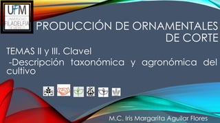 PRODUCCIÓN DE ORNAMENTALES
DE CORTE
TEMAS II y III. Clavel
-Descripción taxonómica y agronómica del
cultivo
M.C. Iris Margarita Aguilar Flores
 