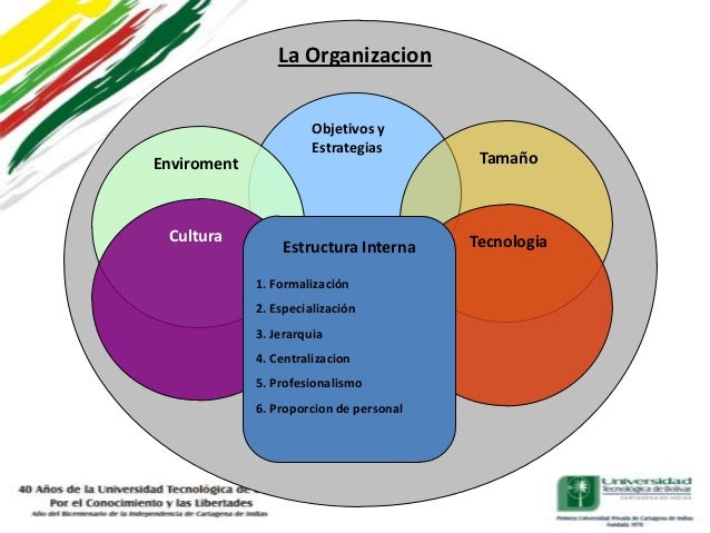 Tema ii dimensiones organizacionales