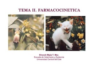 TEMA II. FARMACOCINETICA Dinorah Mejía T. Msc . Escuela de Veterinaria y Zootecnia Universidad Central del Este 
