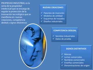 Programadores/Técnicos