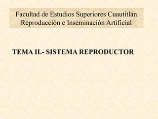 Facultad de Estudios Superiores Cuautitlán
 Reproducción e Inseminación Artificial



TEMA II.- SISTEMA REPRODUCTOR
 