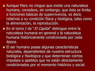  Aunque Marx no niegue que existe una naturaleza
humana, considera, sin embargo, que ésta se limita
a funciones básicas de supervivencia, es decir,
relativas a su condición física y biológica, tales como
la alimentación, la reproducción.
 En el tomo I de “El Capital” distingue entre la
naturaleza humana en general y la naturaleza
humana históricamente condicionada por cada
época.
 El ser humano posee algunas características
naturales, dependientes de nuestra estructura
biológica y fisiológica y que determinan ciertos
impulsos o apetitos que no están directamente
condicionados por el momento histórico y social.
 