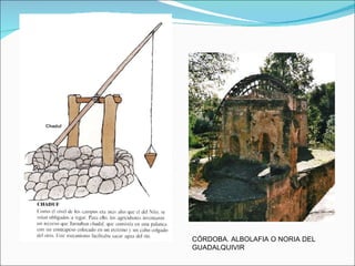 CÓRDOBA. ALBOLAFIA O NORIA DEL GUADALQUIVIR 