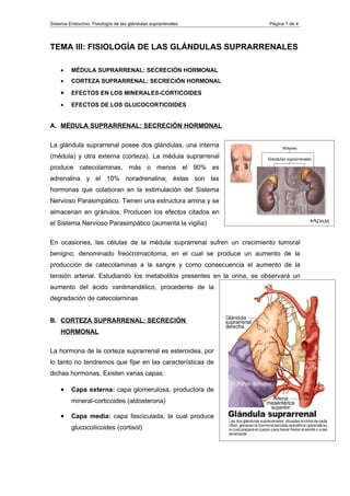 Sistema Endocrino. Fisiología de las glándulas suprarrenales            Página 1 de 4




TEMA III: FISIOLOGÍA DE LAS GLÁNDULAS SUPRARRENALES

    •    MÉDULA SUPRARRENAL: SECRECIÓN HORMONAL
    •    CORTEZA SUPRARRENAL: SECRECIÓN HORMONAL

    •    EFECTOS EN LOS MINERALES-CORTICOIDES

    •    EFECTOS DE LOS GLUCOCORTICOIDES


A. MÉDULA SUPRARRENAL: SECRECIÓN HORMONAL

La glándula suprarrenal posee dos glándulas, una interna
(médula) y otra externa (corteza). La médula suprarrenal
produce catecolaminas, más o menos el 90% es
adrenalina y el 10% noradrenalina; éstas son las
hormonas que colaboran en la estimulación del Sistema
Nervioso Parasimpático. Tienen una estructura amina y se
almacenan en gránulos. Producen los efectos citados en
el Sistema Nervioso Parasimpático (aumenta la vigilia)

En ocasiones, las células de la médula suprarrenal sufren un crecimiento tumoral
benigno, denominado freocromacitoma, en el cual se produce un aumento de la
producción de catecolaminas a la sangre y como consecuencia el aumento de la
tensión arterial. Estudiando los metabolitos presentes en la orina, se observará un
aumento del ácido vanilmandélico, procedente de la
degradación de catecolaminas


B. CORTEZA SUPRARRENAL: SECRECIÓN
    HORMONAL

La hormona de la corteza suprarrenal es esteroidea, por
lo tanto no tendremos que fijar en las características de
dichas hormonas. Existen varias capas:

    •    Capa externa: capa glomerulosa, productora de
         mineral-corticoides (aldosterona)

    •    Capa media: capa fasciculada, la cual produce
         glucocoticoides (cortisol)
 