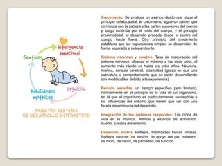 Crecimiento. Se produce un avance rápido que sigue el
principio cefalocaudal, el crecimiento sigue un patrón que
comienza con la cabeza y las partes superiores del cuerpo
y luego continúa por el resto del cuerpo, y el principio
proximodistal, el desarrollo procede desde el centro del
cuerpo hacia fuera. Otro principio del crecimiento
establece que las capacidades simples se desarrollan de
forma separada e independiente.
Sistema nervioso y cerebro. Tasa de maduración del
sistema nervioso, alcanza el máximo a los doce años, el
aumento más rápido es hasta los ocho años. Neurona,
mielina, corteza cerebral, plasticidad (grado en que una
estructura o comportamiento que se están desarrollando
son modificables debido a la experiencia).
Periodo sensible: un tiempo específico pero limitado,
normalmente en el principio de la vida de un organismo,
en el que el organismo es particularmente susceptible a
las influencias del entorno que tienen que ver con una
faceta determinada del desarrollo.
Integración de los sistemas corporales: Los ciclos de
vida en la infancia. Ritmos y estados de activación.
Sueño. Efectos del entorno.
Desarrollo motriz. Reflejos, habilidades físicas innatas.
Reflejos básicos: de torsión, de apoyo del pie, natatorio,
de moro, de caída, de parpadeo, de succión.
 